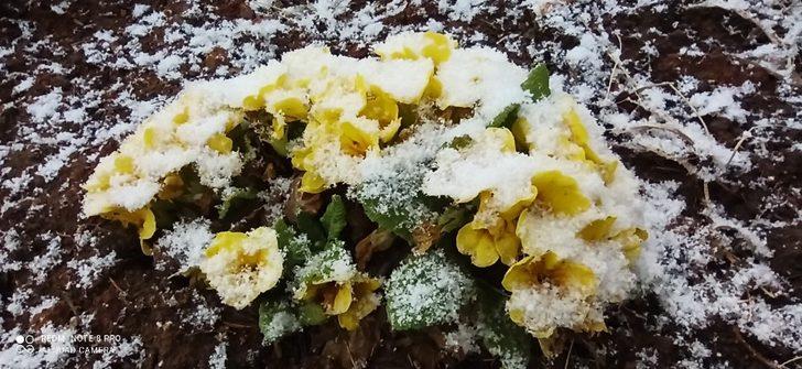 Denizli ve ilçelerine 2 günlük zirai don uyarısı G3