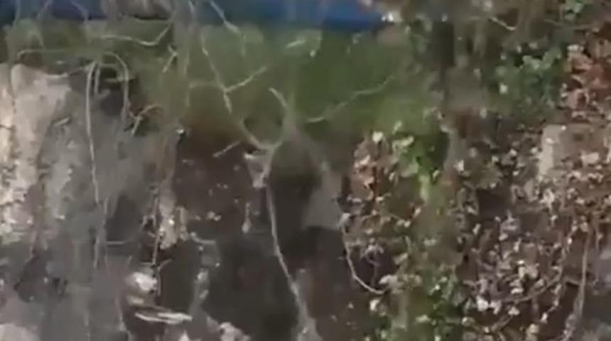 İntihara kalkışan gen&ccedil; son anda kurtarıldı