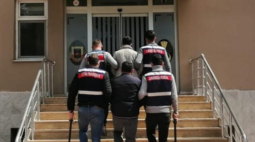 Mardin&rsquo;de firari zanlılar jandarma tarafından yakalandı