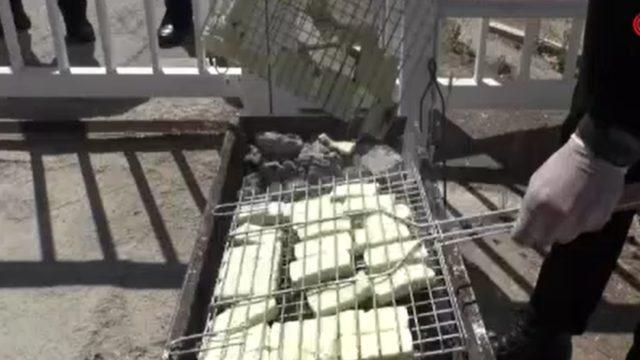 KKTC’de ’hellimli’ protesto