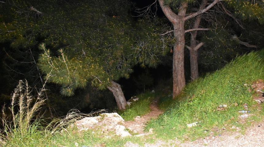 İzmir'de dehşete düşüren olay! Ormanlık alanda kafatası ve kaburga bulundu
