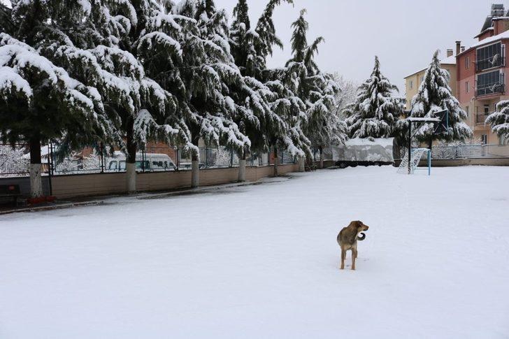 Çameli’de Mart kapıdan baktırdı G4