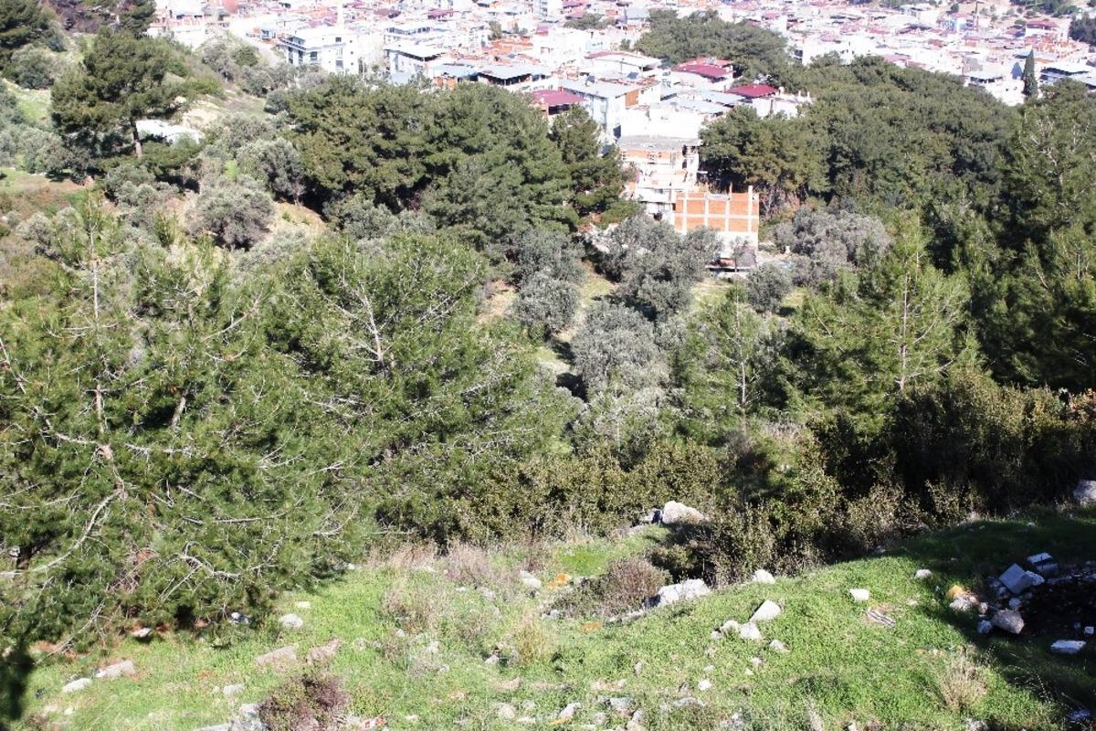İzmir&rsquo;de ormanlık alanda kafatası ve kemik par&ccedil;aları bulundu