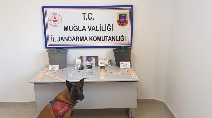 Köyceğiz’de uyuşturucu operasyonu