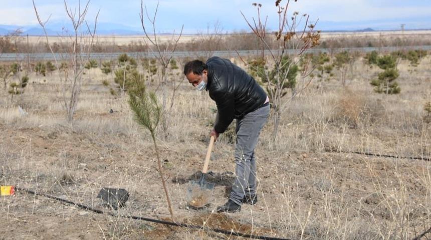 Karabağ Şehitleri Hatıra Ormanı a&ccedil;ılış t&ouml;reni d&uuml;zenlendi