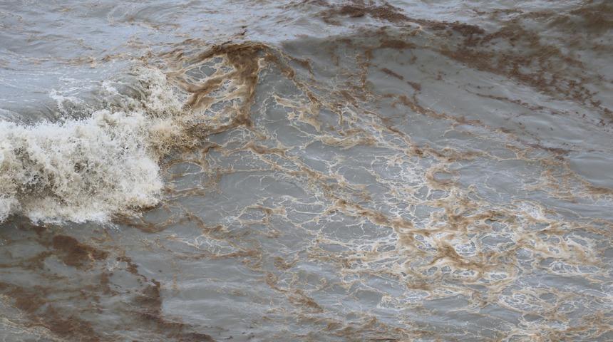 Sahile gelen gözlerine inanamıyor! Kıyı boyunca devam ediyor