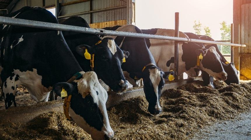 Besicilere uygulanan indirimli su tarifesinin kapsamı genişletildi