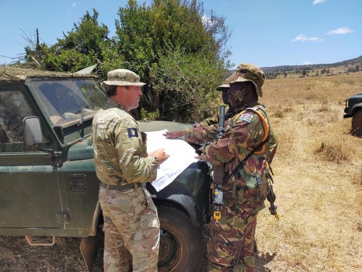 Kenya&rsquo;da İngiliz askerlerinin tatbikatında yangın: 5 fil telef oldu