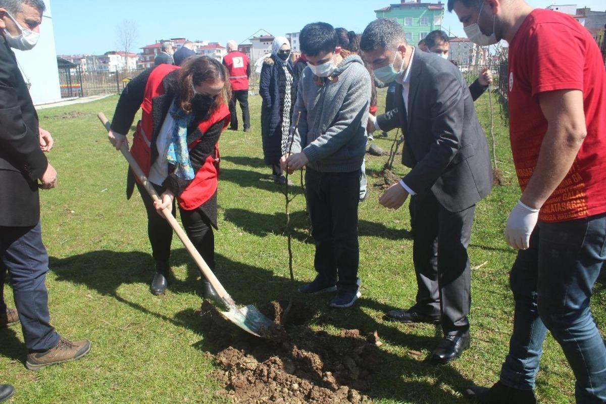 Bug&uuml;nden yarına bir meyve