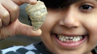 Evin arka bahçesinde kazı yaparken ortaya çıktı! 6 yaşındaki çocuk 400 milyon yıllık fosil buldu