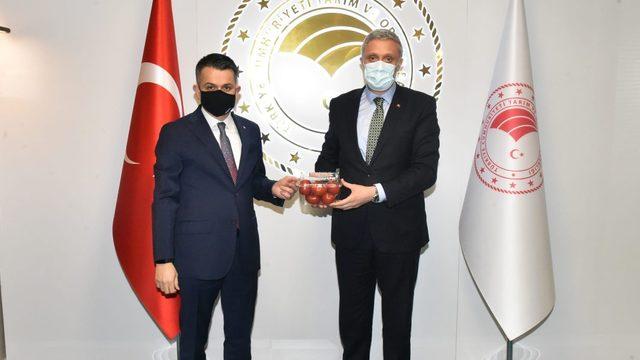 Simav heyetinden Bakan Pakdemirli’ye proje sunumu