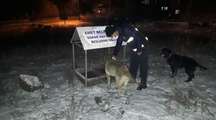 Karantinada sokak hayvanları unutulmadı