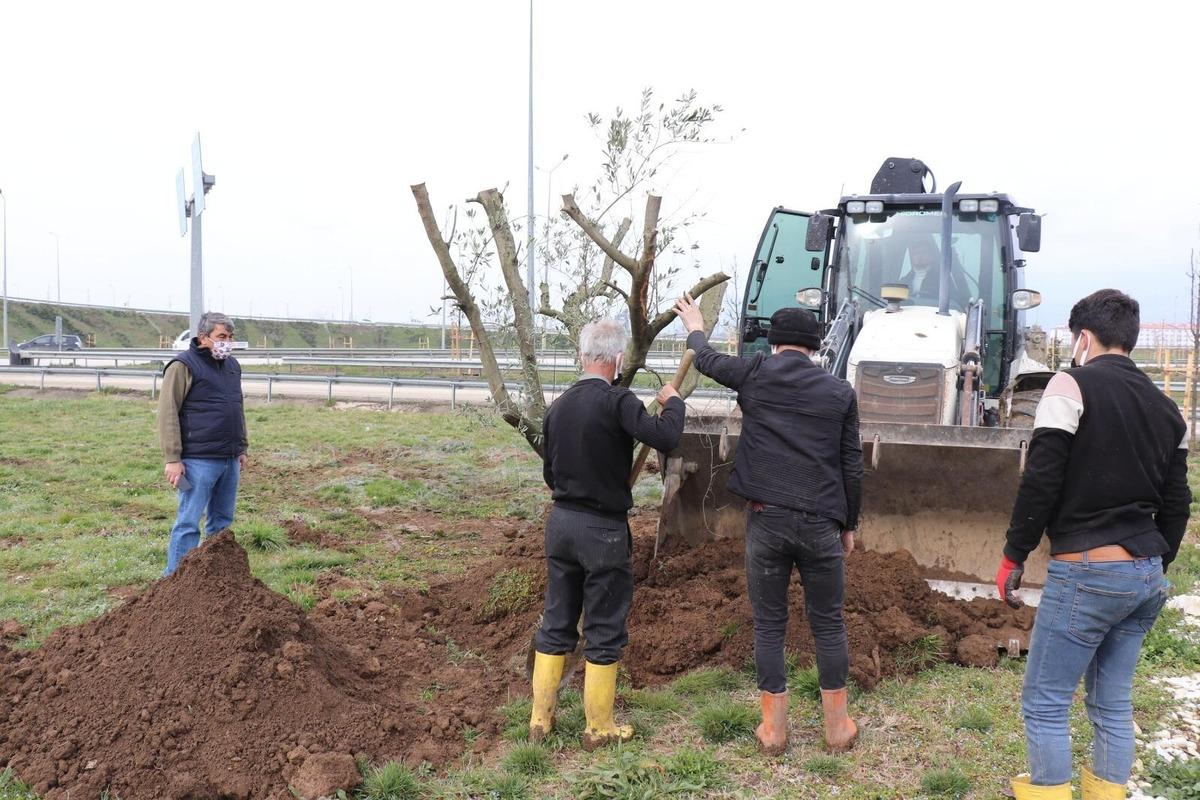 D&uuml;zce&rsquo;de bir yılda binlerce ağa&ccedil; dikildi