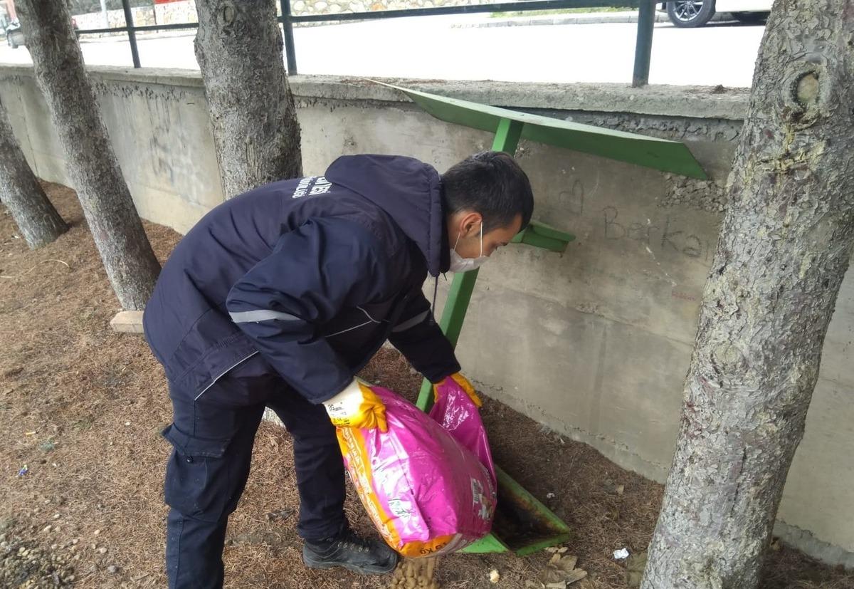 Sokak hayvanları i&ccedil;in kentteki yem noktalarına mama bırakıldı