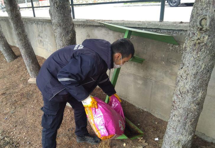 Sokak hayvanları için kentteki yem noktalarına mama bırakıldı G1
