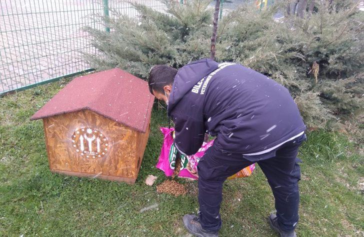 Sokak hayvanları için kentteki yem noktalarına mama bırakıldı G2