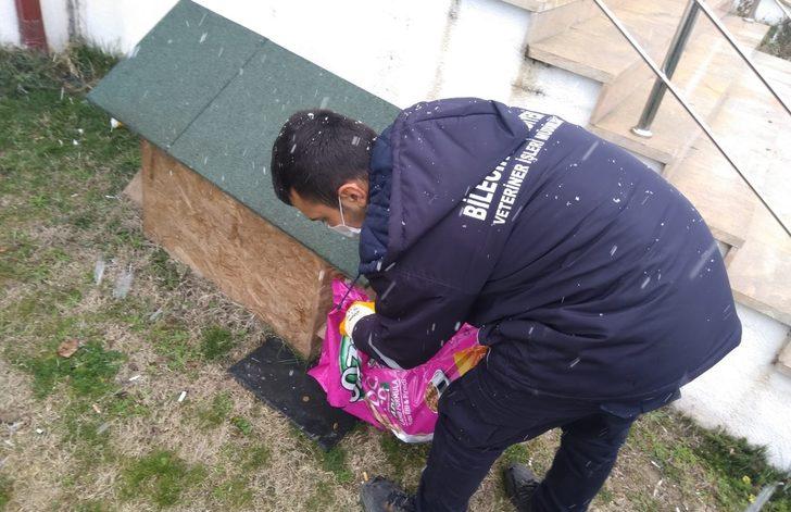 Sokak hayvanları için kentteki yem noktalarına mama bırakıldı G3