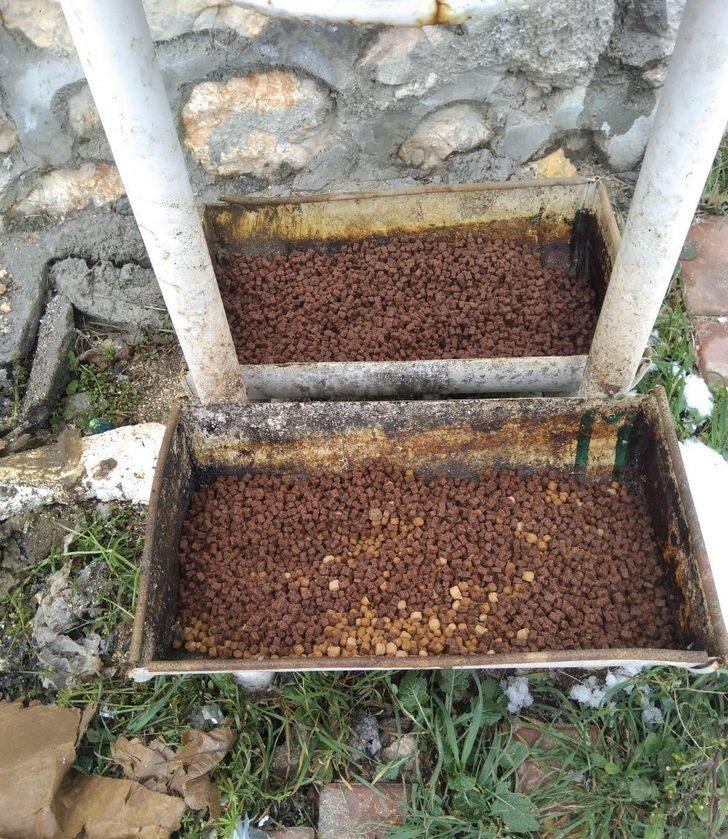 Sokak hayvanları için kentteki yem noktalarına mama bırakıldı G4