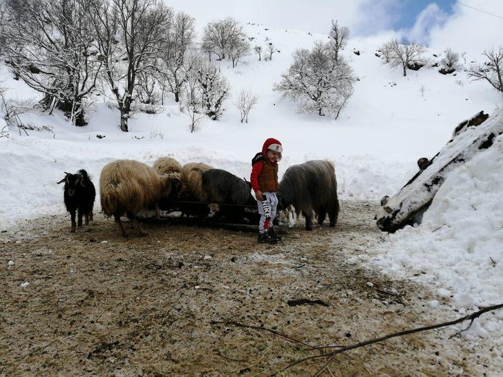 Batman’da kar yağışı etkisini devam ettiriyor G2