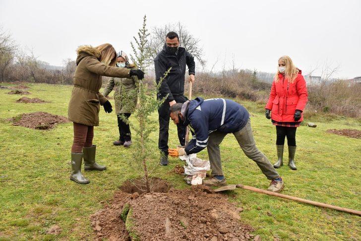 Daha yeşil Yıldırım için fidanlar toprakla buluşuyor G1