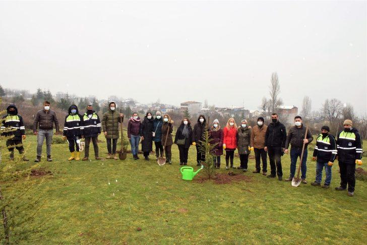 Daha yeşil Yıldırım için fidanlar toprakla buluşuyor G2