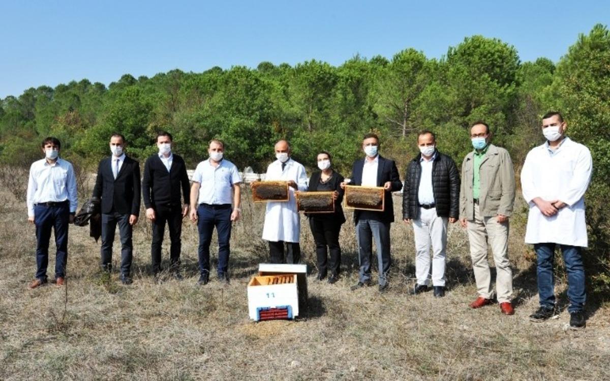 Balıkesir &Uuml;niversitesi, b&ouml;lge hayvancılığına g&uuml;&ccedil; katıyor