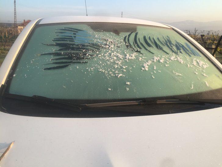 Manisa’da üzüm bağlarını önce kar sonra don vurdu G4