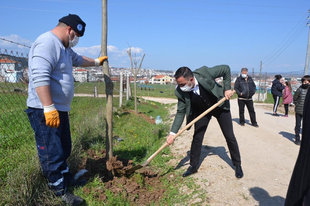 Biga Yenicek&ouml;y mahallesi ağa&ccedil;landırıldı