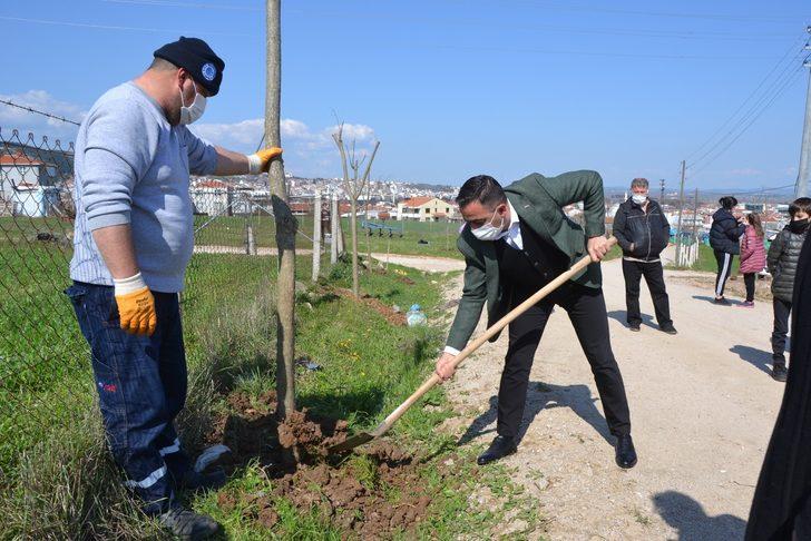 Biga Yeniceköy mahallesi ağaçlandırıldı G1