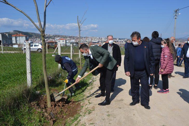 Biga Yeniceköy mahallesi ağaçlandırıldı G2