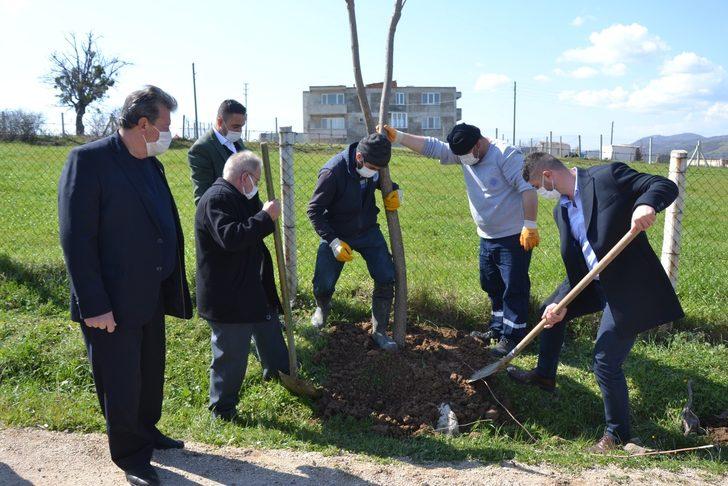 Biga Yeniceköy mahallesi ağaçlandırıldı G4