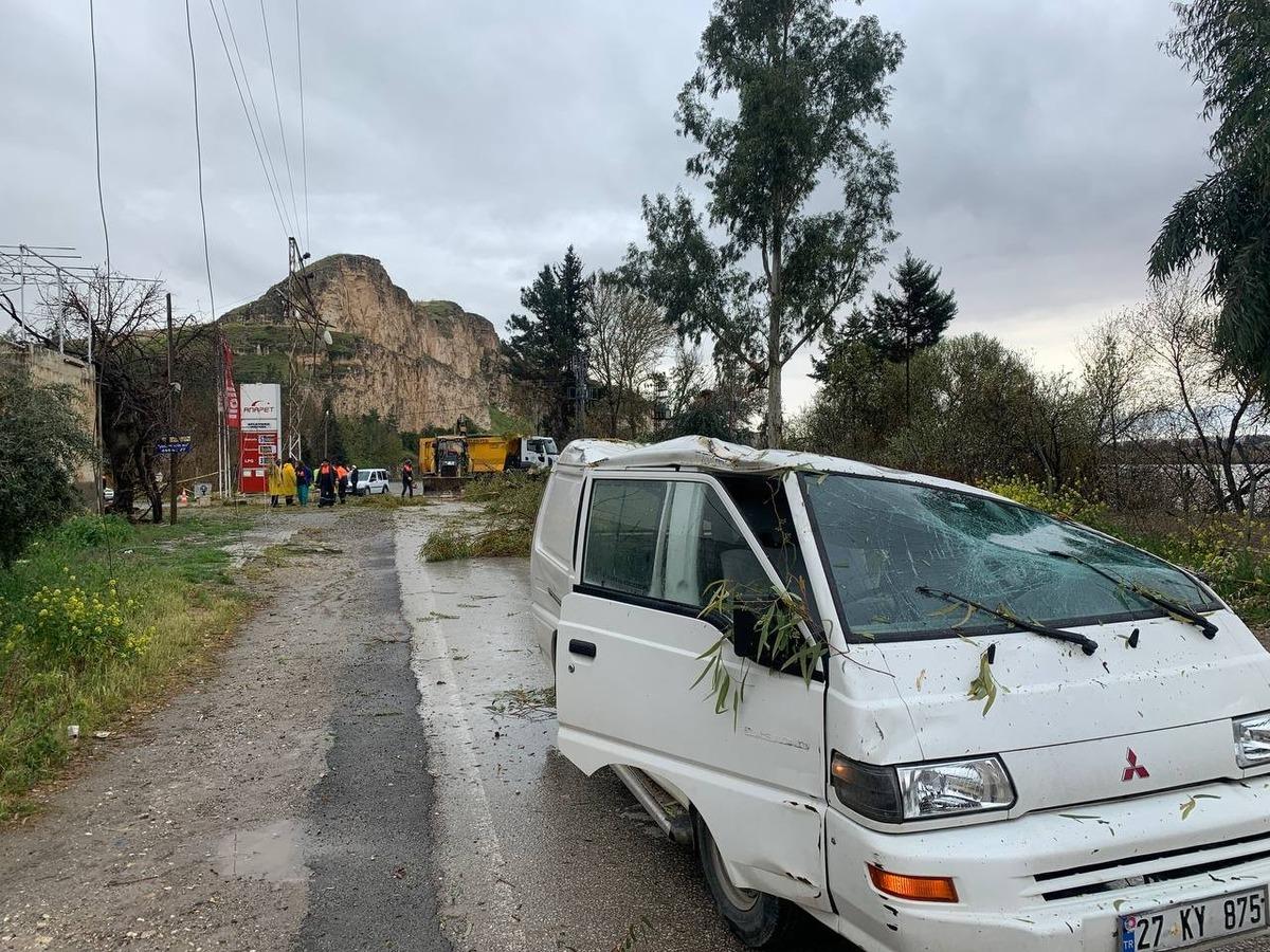 Fırtınada devrilen ağa&ccedil;lar ara&ccedil;lara zarar verdi