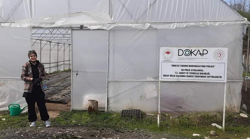 Fatsa’da örtü altı çilek yetiştiriciliği yaygınlaşıyor