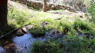 Şaşkına çeviren olay! Kelebekler Vadisi'nin suyunu 33 yıl bedava kullanmışlar