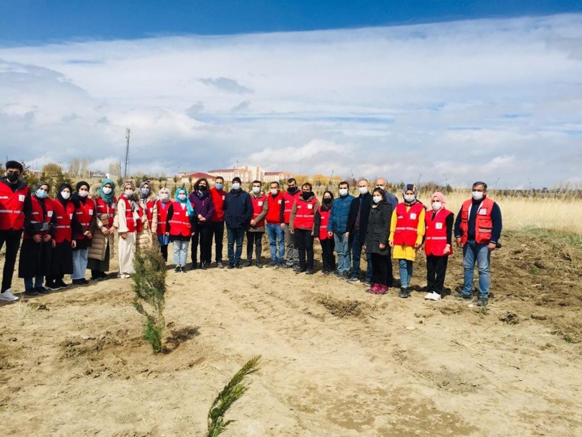 Van&rsquo;da fidan dikimi