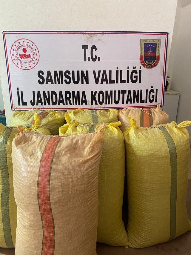 Çalınan 700 kilogram fındık ele geçirildi