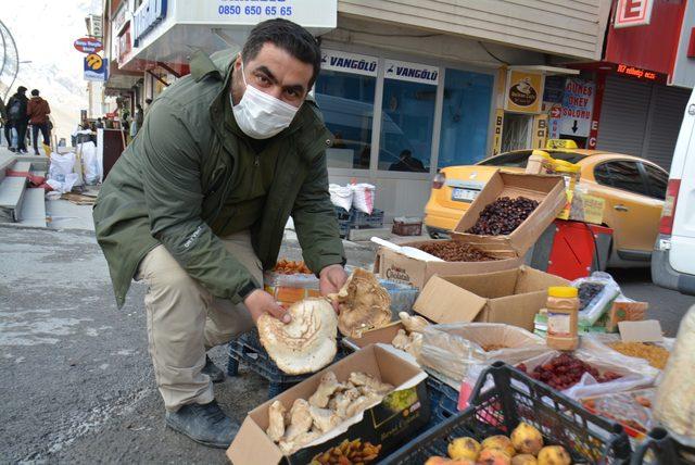 Hakkari’de yılın ilk mantarı piyasaya çıktı