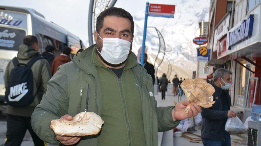 Hakkari&rsquo;de yılın ilk mantarı piyasaya &ccedil;ıktı