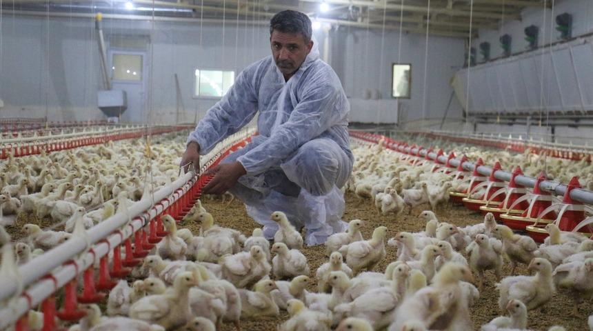 Devlet desteğiyle kurduğu işinde şimdi paraya para demiyor!