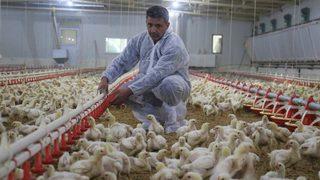 Devlet desteğiyle kurduğu işinde şimdi paraya para demiyor!