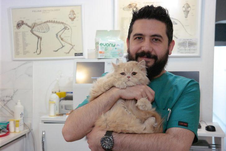 Kedileriniz tüy döküyorsa dikkat G2