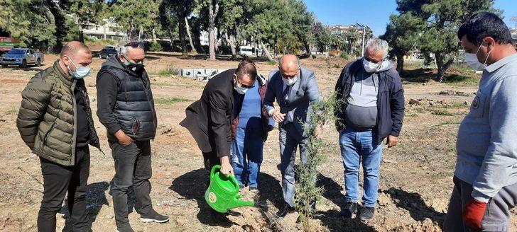 Gazeteciler 250 adet fidanı toprakla buluşturdu G1