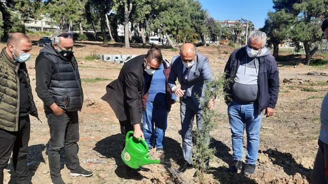 Gazeteciler 250 adet fidanı toprakla buluşturdu