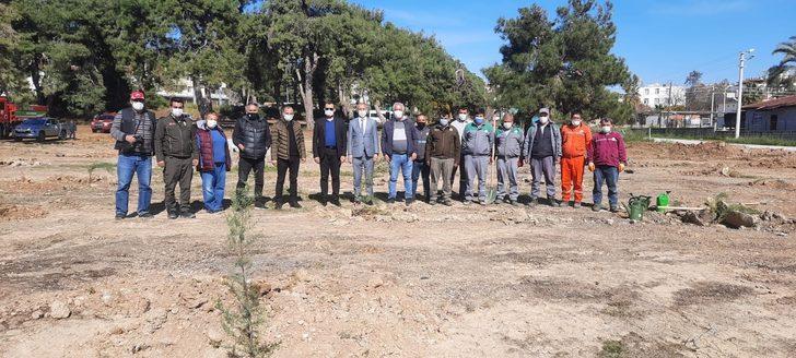 Gazeteciler 250 adet fidanı toprakla buluşturdu G2