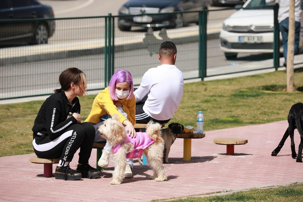 Şehitkamil&rsquo;de hayvanlar i&ccedil;in &ouml;zel park