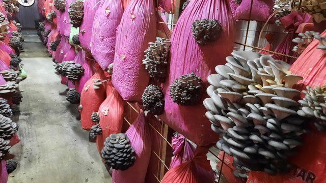 İnternetten izleyerek öğrendi, şimdi siparişe yetişemiyor!