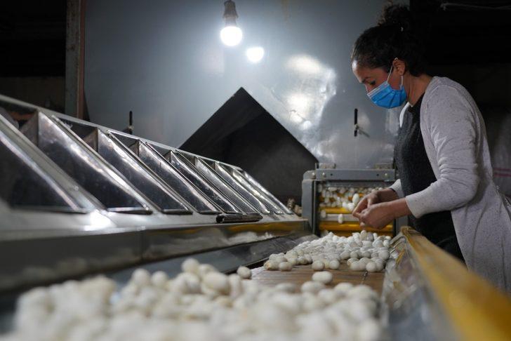 İpeğin ‘tarladan podyuma’ serüveni sergilenecek G3