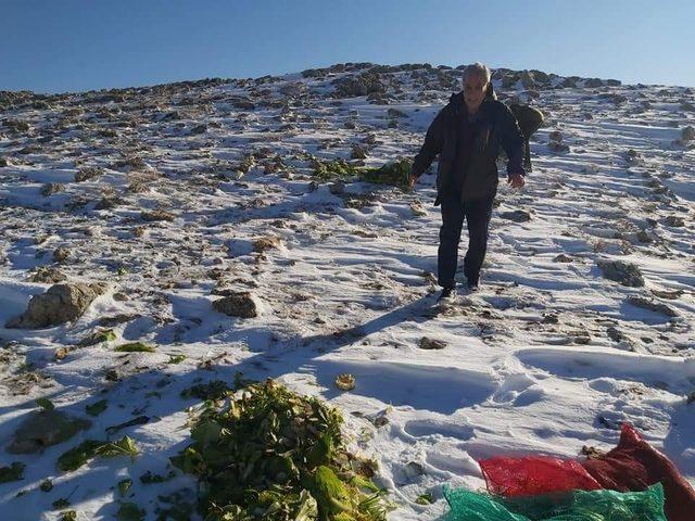 Yabani hayvanlar için Nemrut Dağına yem bırakıldı