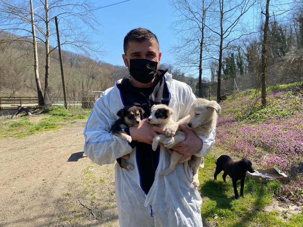 Milli sporcular sokak hayvanları i&ccedil;in seferber oldu