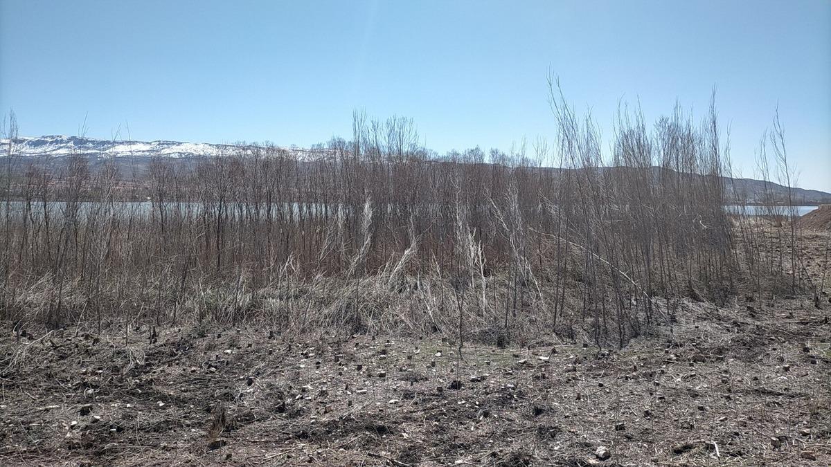 Yağmur ve şiddetli r&uuml;zgar sazlık alanda hasar bıraktı